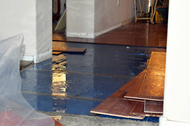 Professional Sewage Cleanup technician working in Lincoln, RI